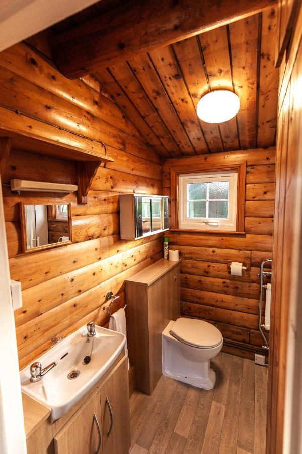 Cosy Log Cabin In Heart Of Snowdonia By Seren Property Trawsfynydd Zewnętrze zdjęcie