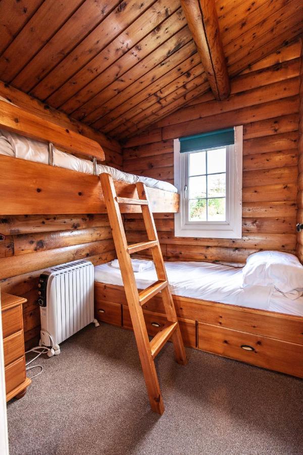 Cosy Log Cabin In Heart Of Snowdonia By Seren Property Trawsfynydd Zewnętrze zdjęcie